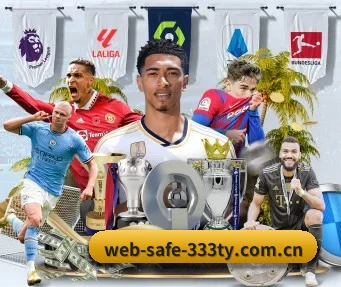 web-safe-333ty.com.cn APP 界面